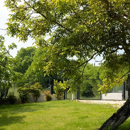 Le Giale Oda ve Kahvaltı